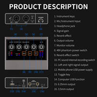 Antarmuka Audio USB 2 Input XLR Kartu Suara 48V Phantom Power Perekam Mikrofon Instrumen PC Mac Siaran Langsung Buatan Pabrik
