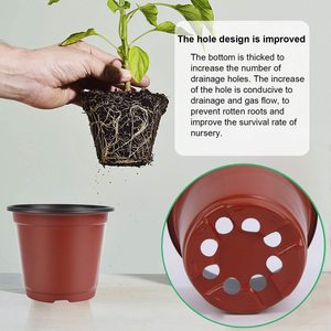 Pacco 250 da 4 pollici per piante da vivaio da fiore vasi di partenza per <span class=keywords><strong>semi</strong></span> contenitori con etichette 300 - Product Image 3