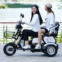 Tricycle électrique familial à 3 roues, 3 places, 60V 1000W, scooter de mobilité à carrosserie ouverte, fauteuil double pour 2 personnes âgées, 30-50 km/h, 30 km d'autonomie