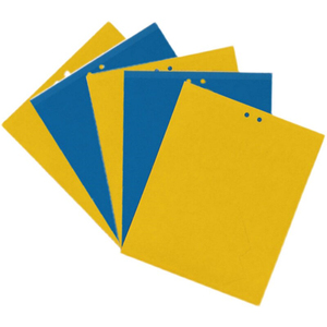 Pièges collants en gel PP imperméables bleus/jaunes de 8*10 pouces pour la lutte antiparasitaire contre les moustiques - Product Image 1