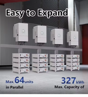 Batterie lithium Deye 15 kW 48 V 51,2 V 5,12 kWh 10,24 kWh, batteries lithium pour stockage d'énergie solaire domestique Deye