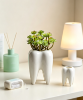 Miniature jardinière en céramique blanche émaillée écologique en forme de dent, avec trous, pour usage extérieur/intérieur - Vente en gros de pots de luxe