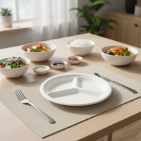 Plateau et assiette jetables écologiques en pulpe de canne à sucre biodégradable, compatibles micro-ondes, pour le camping, assiette à fruits compostable