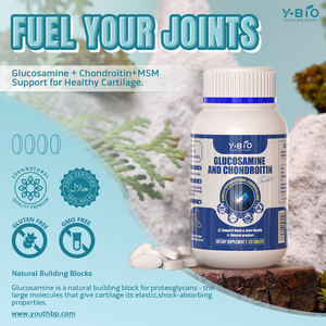 Glukozamin Kondroitin MSM Tabletleri |   Eklem Yağlaması Şok Emilimi 120 Tablet/Şişe GMP Sertifikalı |   Profesyonel OEM - Product Image 2