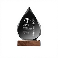 Trophées en cristal K9 personnalisés avec logo, forme irrégulière, sablés, écologiques, avec base en bois gravée, pour décorations d'hôtel - Vente chaude