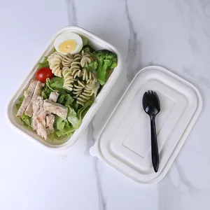 Disposable Food Storage Containers With Lids For Food