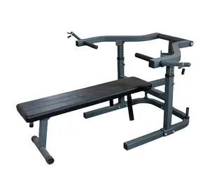 Manufacture Customized Abdominal Exercises Arm Curl Bench Level Weight Crunches Sit Up Bench