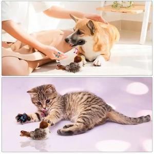 Interaktif kedi kuş oyuncak egzersiz dokunmatik aktif tüm ırkları kedi Kicker Catnip gerçekçi cıvıltı twitter yavru uçan kuş kedi oyuncak - Product Image 6