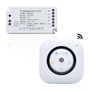 6 Key RF Remote Controller Dimmer for dual Color LED Strip Lights Dimming Wireless led Dimmer