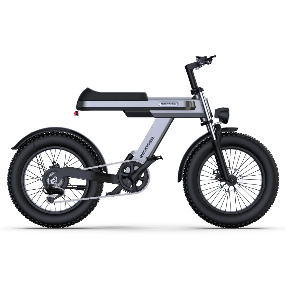 Neues Modell 2-Rad Elektrofahrrad für Erwachsene 48 V 15 Ah Erwachsenen-Elektro-Klapp-E-Bike 20-Zoll Gebraucht-Elektrofahrrad Nabenmotor 1000 W