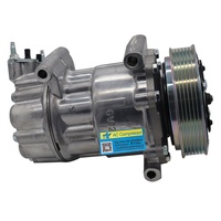 Auto Klimaanlagen-Kompressor für Peugeot 307 207 308 Citroen C4 C3 C2 OEM 9651910980 9822826880 9678656080