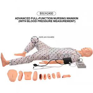 Modelo Anatômico Avançado BIX-H2400 para Treinamento em Enfermagem Medição de Pressão Arterial Função Completa PVC para Uso Escolar Ciência Médica - Product Image 2