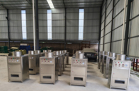 Automatische Knoflook Ui Fruit Schilmachine 1000kg/u Capaciteit Hoge Efficiëntie 304 RVS 220V 1 Jaar Garantie