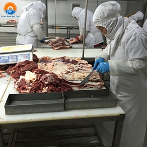 Stazione di Lavoro Integrata per Macchinari di Macellazione Ovina: Attrezzatura Assistita per Taglio, Scuoiatura e Processo di Macellazione - Product Image 3