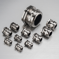 Presse-étoupe étanche en acier inoxydable IP68 304 connecteur anti-traction en laiton filetage métrique certifié ROHS pour l'industrie extérieure
