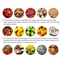 Automatische industriële uien-kruiden-voedseldehydrator droogmachine fruit-vleesdroger warmtepomp voedseldehydrator