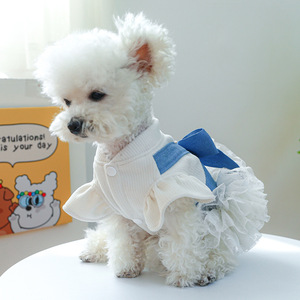 Pour petit chien Design de luxe animaux de compagnie tenues vêtements de mode fête dentelle robe chiot chemise chien jupe Costume pour animaux de compagnie chien robe d'été - Product Image 4