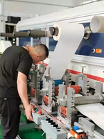 Máquina de Corte de Troqueles Automática con Función Adhesiva, Ancho Máximo de Suministro de 250 mm, Fabricante XIAONIU