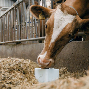 White Solid <strong>Halite</strong> Salt Block For Cattle Mineral Supplement Essential Livestock Nutrition Pure Rock Salt Lick For Farm Barn Use - Product Image 1