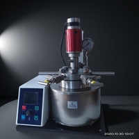 Reactor de Alta Presión para Laboratorio con Agitador Magnético, Pantalla Táctil, Autoclave Hidrotermal para Reacciones Químicas