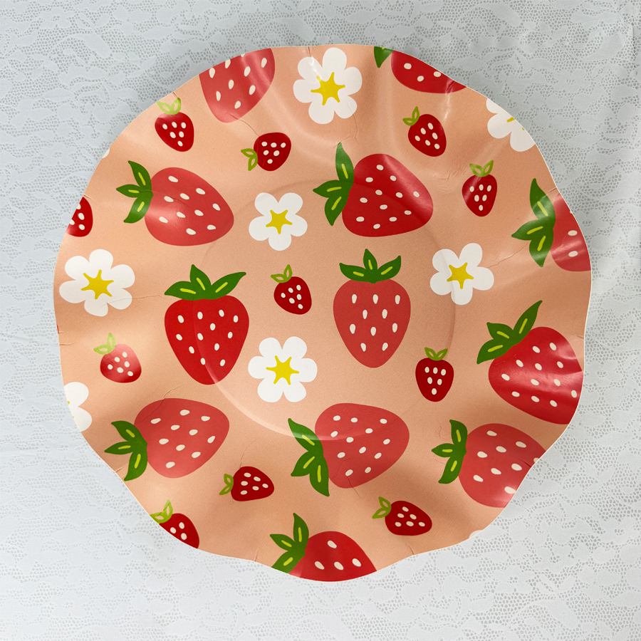 10inch*10pcs