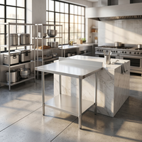 Table de travail utilitaire pour cuisine commerciale CUSTOM NSF, 2 niveaux, en acier inoxydable 430, avec rebord de 2 pouces, démontable