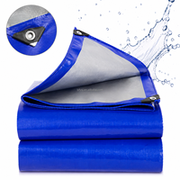 Bâche de protection réutilisable en PE, imperméable, pour la protection des sols lors d'événements, abri temporaire et utilisation en extérieur