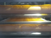 Minjie Doorlopende Vacuümriem Fruit Kokosnoot Kopra Poeder Droogapparatuur 200l Vriezer Droger Machine