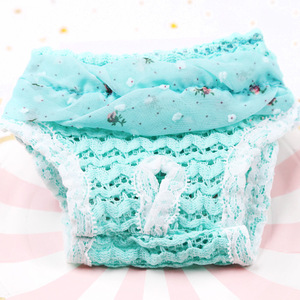 Braguitas Menstruales de Chifón para Perros y Gatos, Color Azul, Transpirables y Cómodas, Pañales de Tela, Talla Pequeña y Mediana, Artículos para Mascotas - Product Image 4