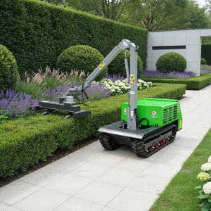Équipement <span class=keywords><strong>de</strong></span> coupe pour l'aménagement paysager municipal - Tondeuse sur chenilles avec bras pliable et taille-<span class=keywords><strong>haie</strong></span> électrique - Product Image 3