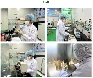 Chất Lượng Cao Dtnest Việt Nam Gói Của Hầm Chim Của Tổ Với Đường Đá (6 Lọ) Đồ Uống Chai Thủy Tinh Bao Bì Cho Trẻ Em - Product Image 4