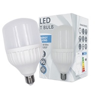 Ampoule LED résidentielle WOOJONG 20W/30W/40W/50W T, culot E26/E27/B22, aluminium + plastique, 100-265V, garantie 2 ans