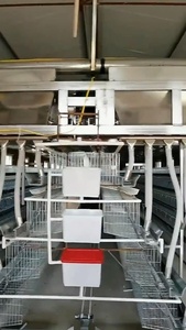 En çok satan 4 katlı 4 kapılar 128 kuşlar kapasiteli galvanizli Q235 çelik tel yumurta katmanlar tavuk kafesleri için kanatlı ev kullanılan örgü - Product Image 3