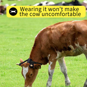 Rastreador <span class=keywords><strong>GPS</strong></span> para Ganado 4G GPRS, Dispositivo de Rastreo Satelital para Vacas y Ovejas, Anti-Pérdida para Pastos de Montaña, Panel Solar, Resistente al Agua IP67, GPSONE - Product Image 4