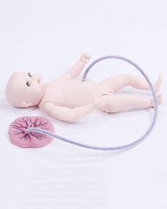 실물 크기 인간 신생아 훈련 모델 PVC 탯줄 태반 관리 모델 신생아 시뮬레이터-교육 교육 교육 아기를위한 - Product Image 3