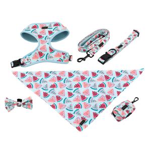 Set tali kekang anjing enam potong kualitas tinggi <span class=keywords><strong>Harness</strong></span> dada bernapas Mewah kerah anjing peliharaan tersedia Kecil Sedang besar XL - Product Image 3