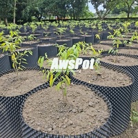 Grand pot d'élagage à air comprimé de 2 3 5 10 50 15 gallons 100x80 cm pour jardinière de plantes, myrtille, arbres, fleurs, oliviers