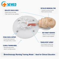Recursos Didácticos, Modelo de Bronquio Duro, Modelo de Entrenamiento de Broncoscopia para Experimentos Médicos en Escuelas y Hospitales