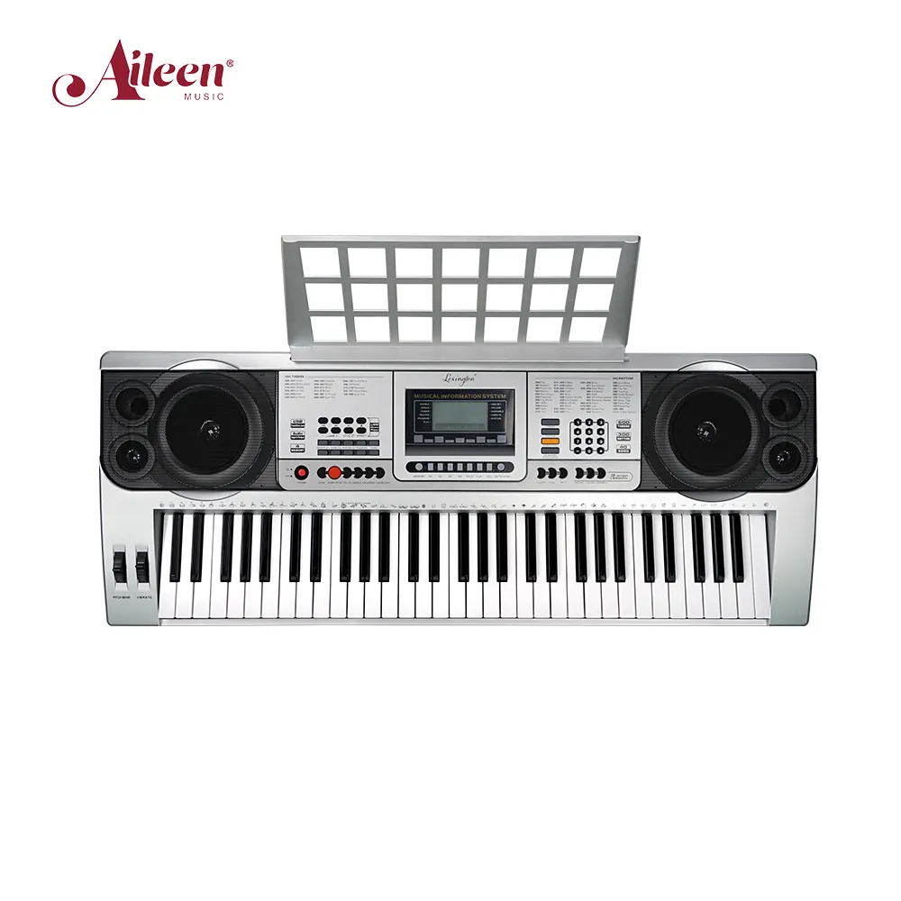 Ready to Ship 61-Key Musical Piano Electronic Keyboard instrument LCD Display (EK61222)
