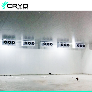 Táo tươi trái cây kho lạnh kho lạnh giá khoai tây tươi kho lạnh - Product Image 4