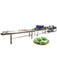 Hoge Efficiëntie SUS304 Citroenwaslijn voor het sorteren, drogen en waxen van sinaasappels, perziken en mango's (500kg/uur output)