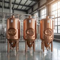 Cuves de fermentation isobariques MICET 500L pour bière artisanale, unité de fermentation en acier inoxydable électrolytique couleur cuivre rose doré