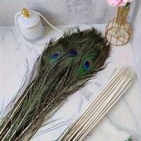 Vente en gros de plumes d'autruche, de faisan et de paon naturelles, teintes, de 25 à 130 cm, pour mariages et décorations indiennes