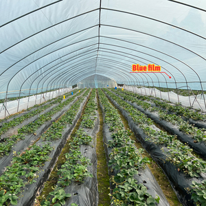 Grande <span class=keywords><strong>serre</strong></span> à arche double couche en PE pour légumes, avec une transmission lumineuse élevée à l'intérieur et une protection anti-UV contre l'ombrage - Product Image 2