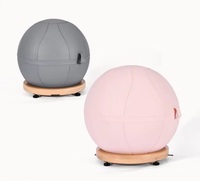 Ballon d'exercice souple en PVC, écologique et durable, avec housse pour le yoga