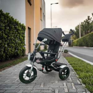 Baby Kids Tricycle 3-Wheel <strong>with</strong> Canopy Cover Plastic Frame Folding Rotating Seat <strong>Parent</strong> Push <strong>Handle</strong> <strong>Trike</strong> for 2-4 Years - Product Image 5