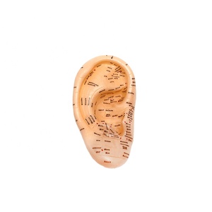 Modèle d'oreille en PVC pour acupuncture, modèle anatomique médical pour points d'acupuncture auriculaires, <span class=keywords><strong>patch</strong></span> auriculaire, massage des zones réflexes - Product Image 2