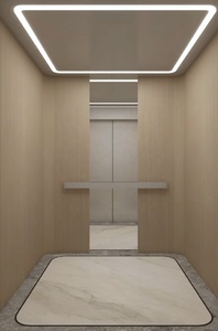 Senshuo Factory Priced Hydraulic Residential Lift für <span class=keywords><strong>Home</strong></span> Hotel Verwenden Sie Mini Electric <span class=keywords><strong>Home</strong></span> <span class=keywords><strong>Elevator</strong></span> Traktion maschine Dining Villa - Product Image 3