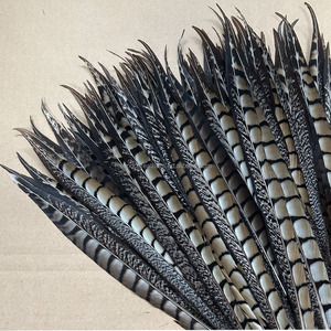 Plumas de Faisán Lady Amherst de 35-40cm al por Mayor, Plumas Naturales para Decoración de Fiestas de Carnaval, Centros de Mesa - Product Image 2