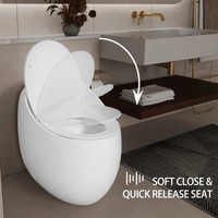 WC intelligent moderne PLMR DX-002, installation facile, gain de place, idéal pour les projets de rénovation résidentielle